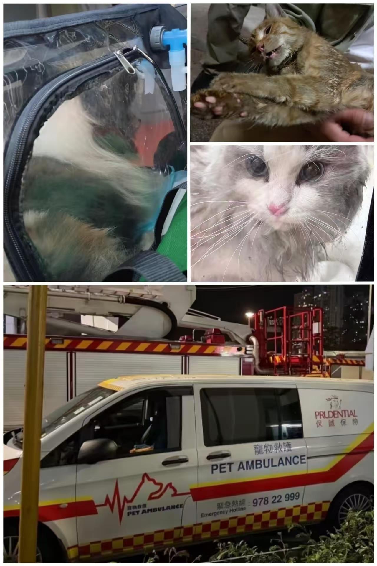 香港这次又出名了，不是因为大火一下子烧了七栋楼，而是因为香港的消防员在这么极