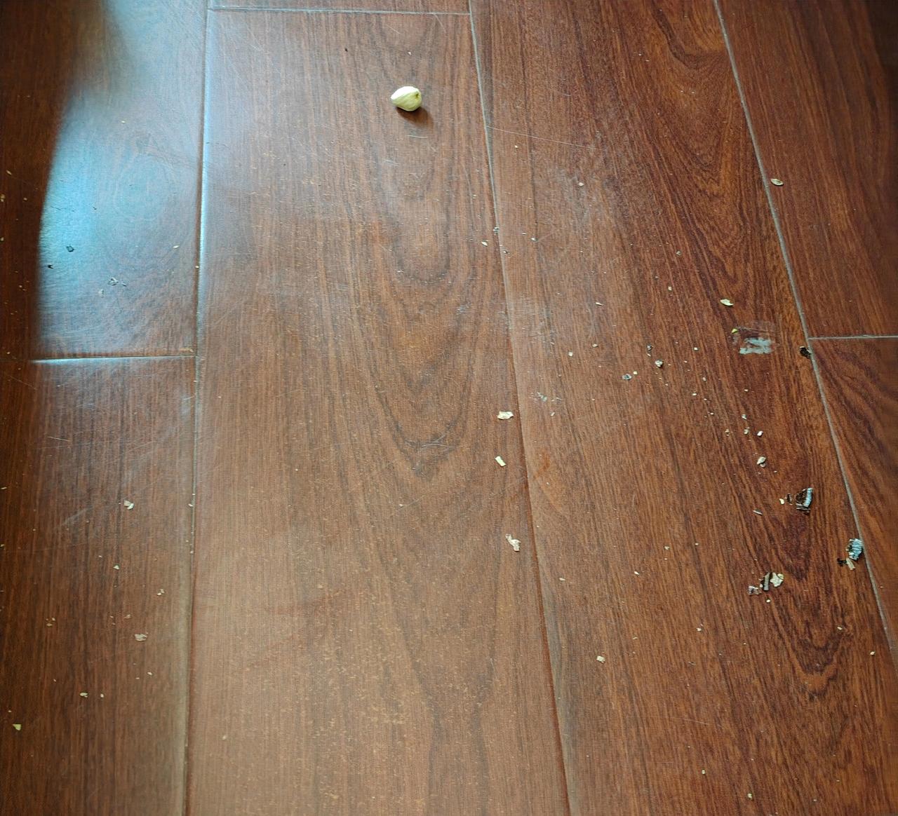 个人卫生习惯，生活习惯不同，往往会产生不同的效果。两个表弟，来我家小坐了一会。期