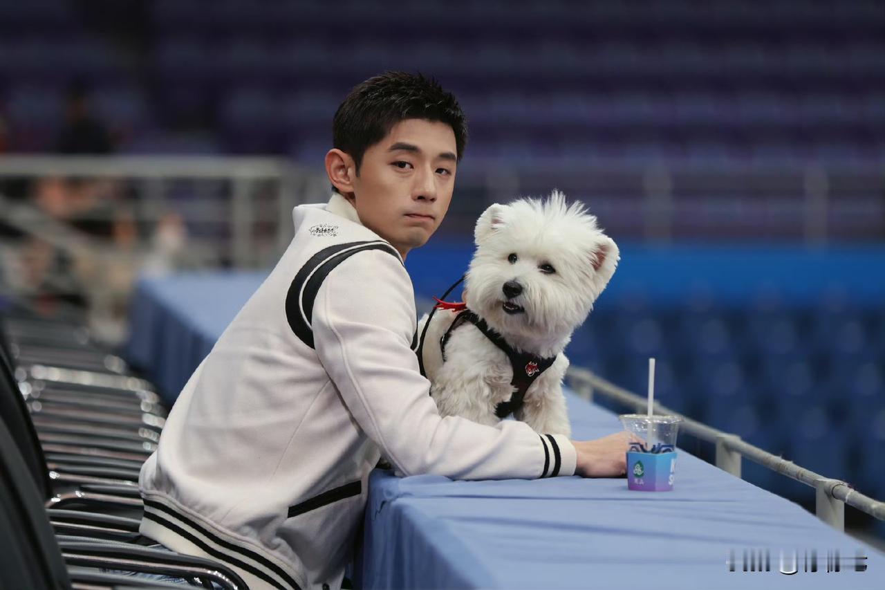 深扒张继科5年情史‼️与张蕊低调隐婚生子，当年和景甜的文体恋终究是过往张继科张