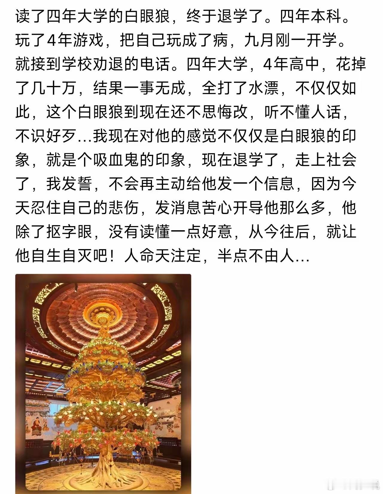 “四年本科被劝退！”刷到一个帖子，一位家长满心悲凉地倾诉：孩子读了整整四年本科，