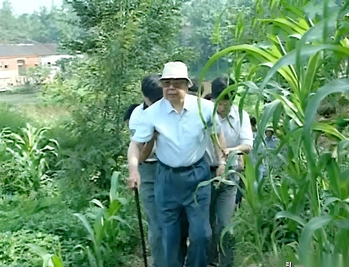 1997年，82岁的开国上将陈锡联，回了趟湖北老家。车一停，乡亲们全围了上来，