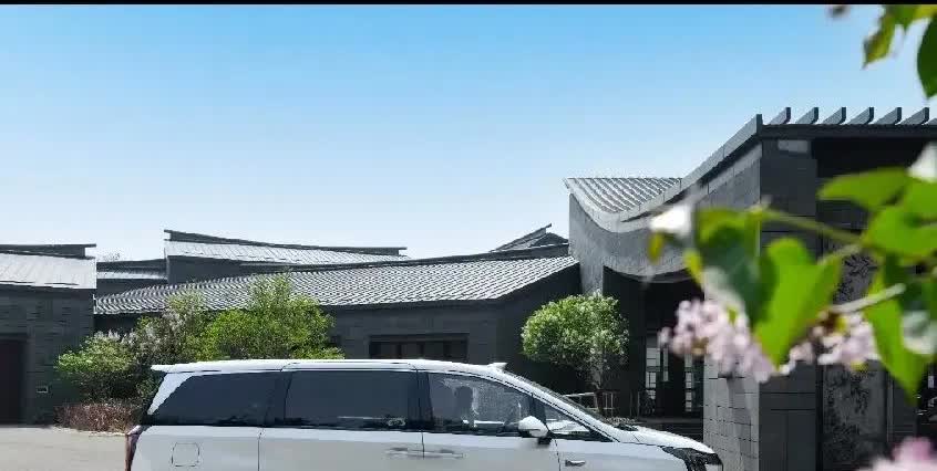 2025年1-5月全国MPV汽车销量前三名：1，腾势D9DM-i：