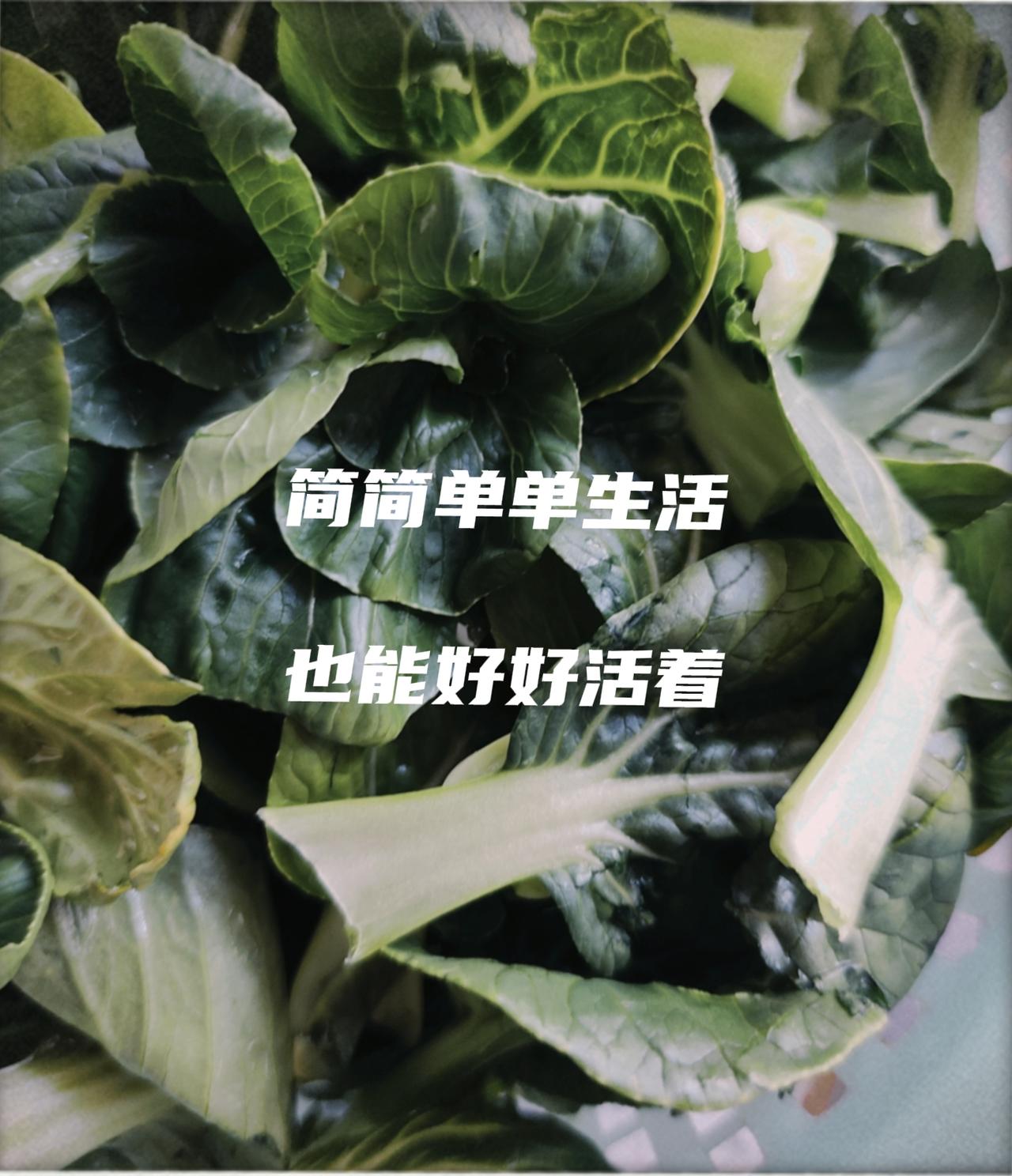 我是中晚期卵巢癌，康复8年。我越来越清晰地感受到，癌症不需要去“抗”，不需要去”