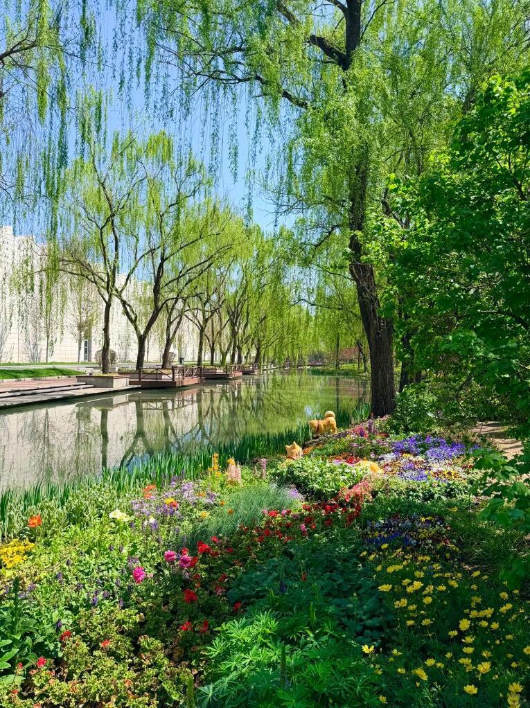 春天的美春风漫过山河，人间便揉进了温柔的诗意，春天的美，是无声的奔赴，是万