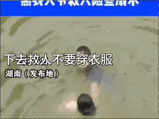 防溺水警钟长鸣游泳有风险下水需谨慎好人一生平安健康！🙏
