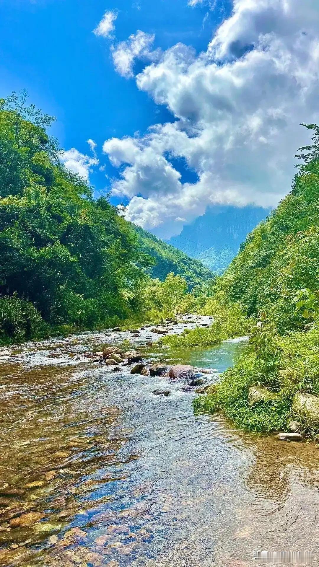 我爸一到夏天，就惦记着进秦岭。不挑地方，只要进山就行。今年选的是柞水营盘，一
