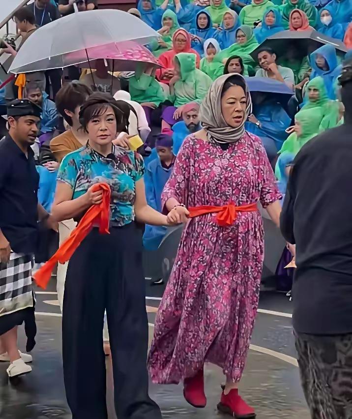 田华老师老了，那么优雅，给人们带来的是一个可敬可爱的艺术家，我喜欢田华。不喜欢这