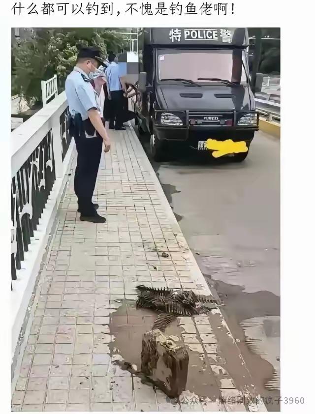 好家伙，还得是钓鱼佬啊[捂脸哭]