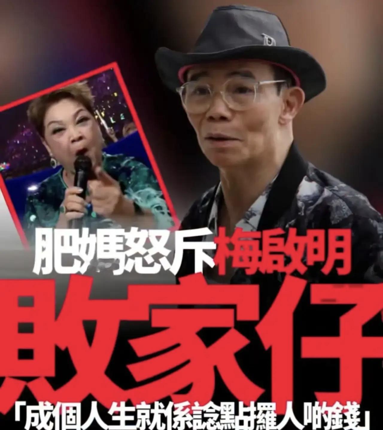 肥妈真的好多管闲事哦，梅启明花妹妹的钱，花妈妈的钱，那是人家的家务事，肥妈还是对