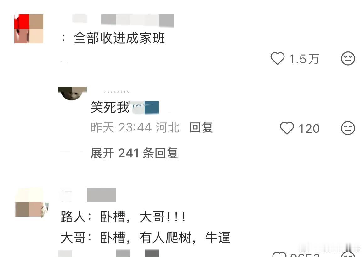 全部收进成家班网友爬树拍摄被成龙大哥看到并用手机拍下来了！别人看有人爬树是惊讶