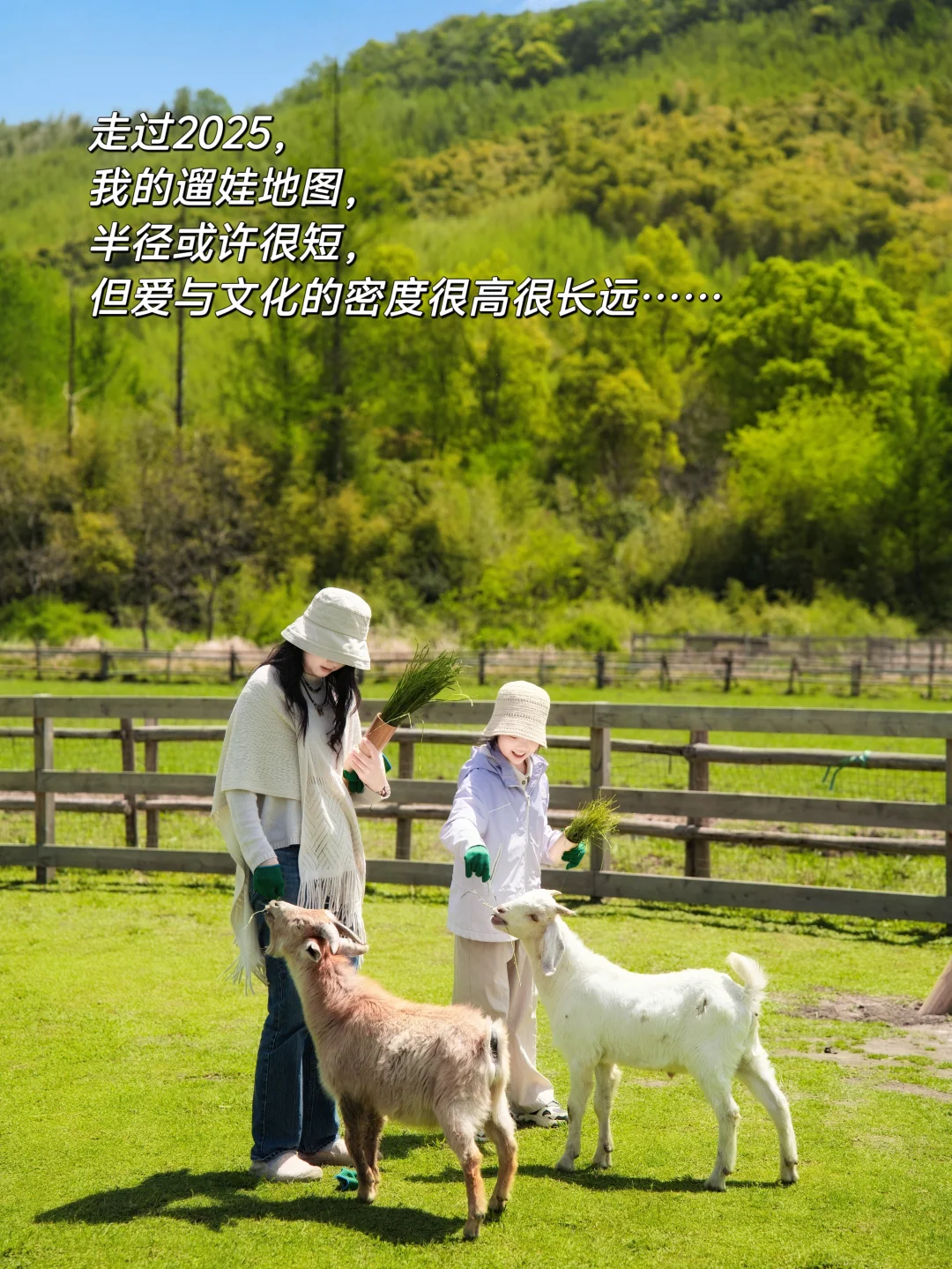 这一年没走遍960万平方公里，带娃深耕江南