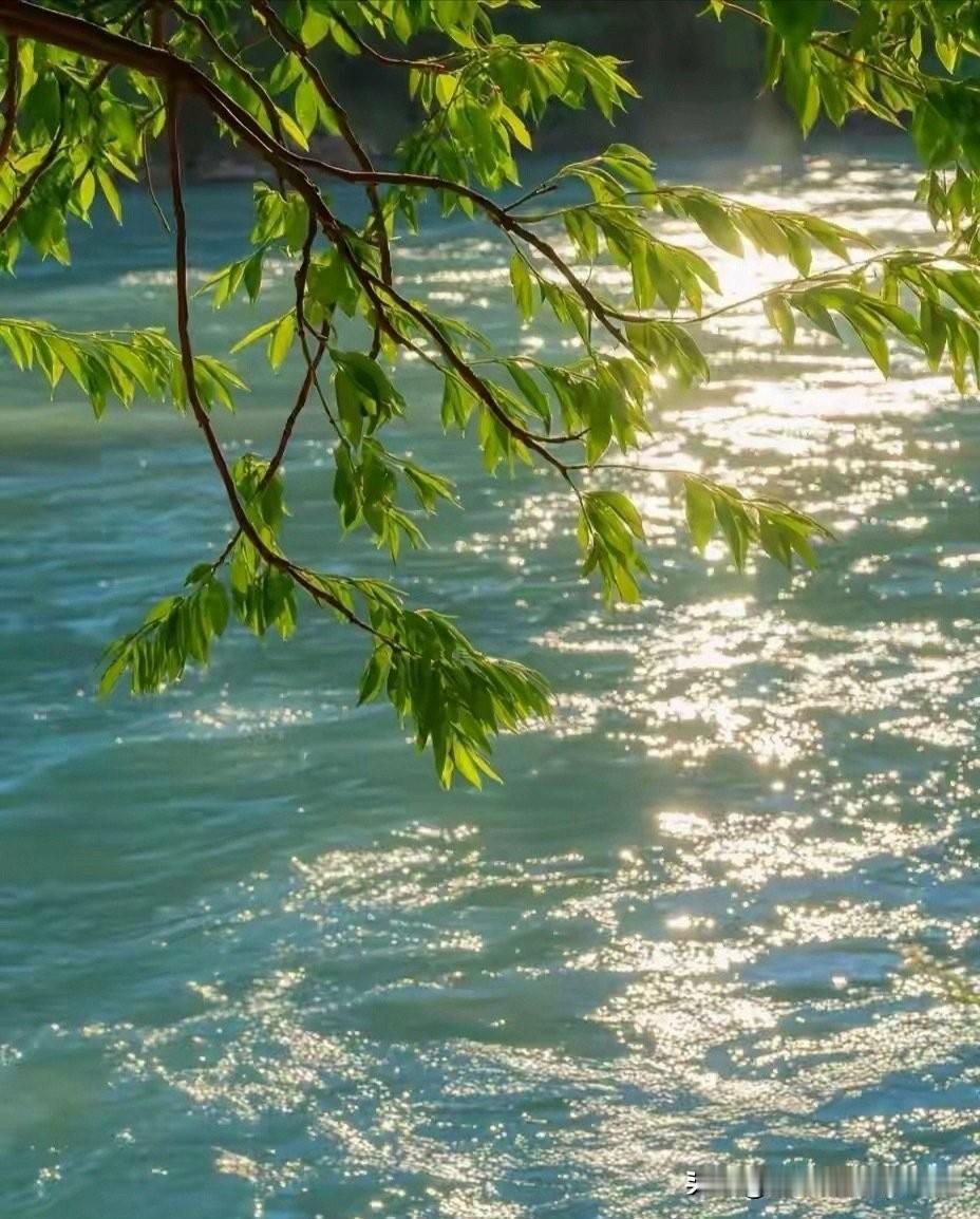 黄金涨了那么多,稍微下跌了一波,立马就吓的很多人不敢买了。房价从高点跌到现在,