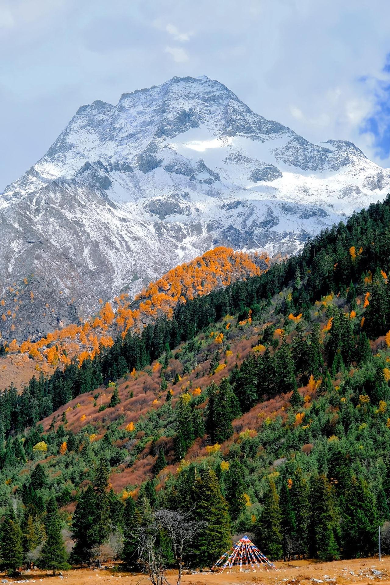 我看最近有人说不要歧视第一学历，其实不是真的歧视第一学历，反正第一学历对人的影响