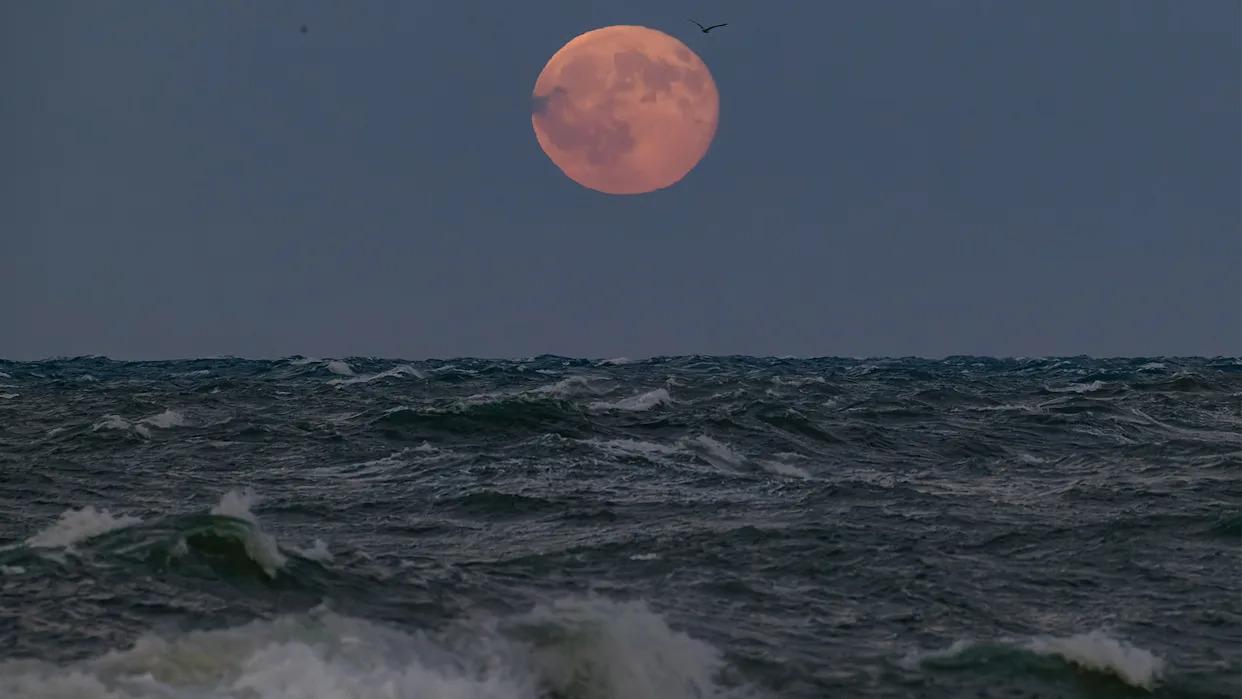 每日分享一句人生哲理人生不如意之事十之八九，别让这些事情影响自己的更多的情绪。生