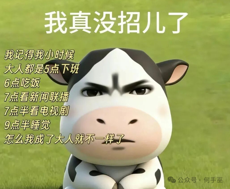 本以为等到长大好日子就来了怎么到我这突然就没了