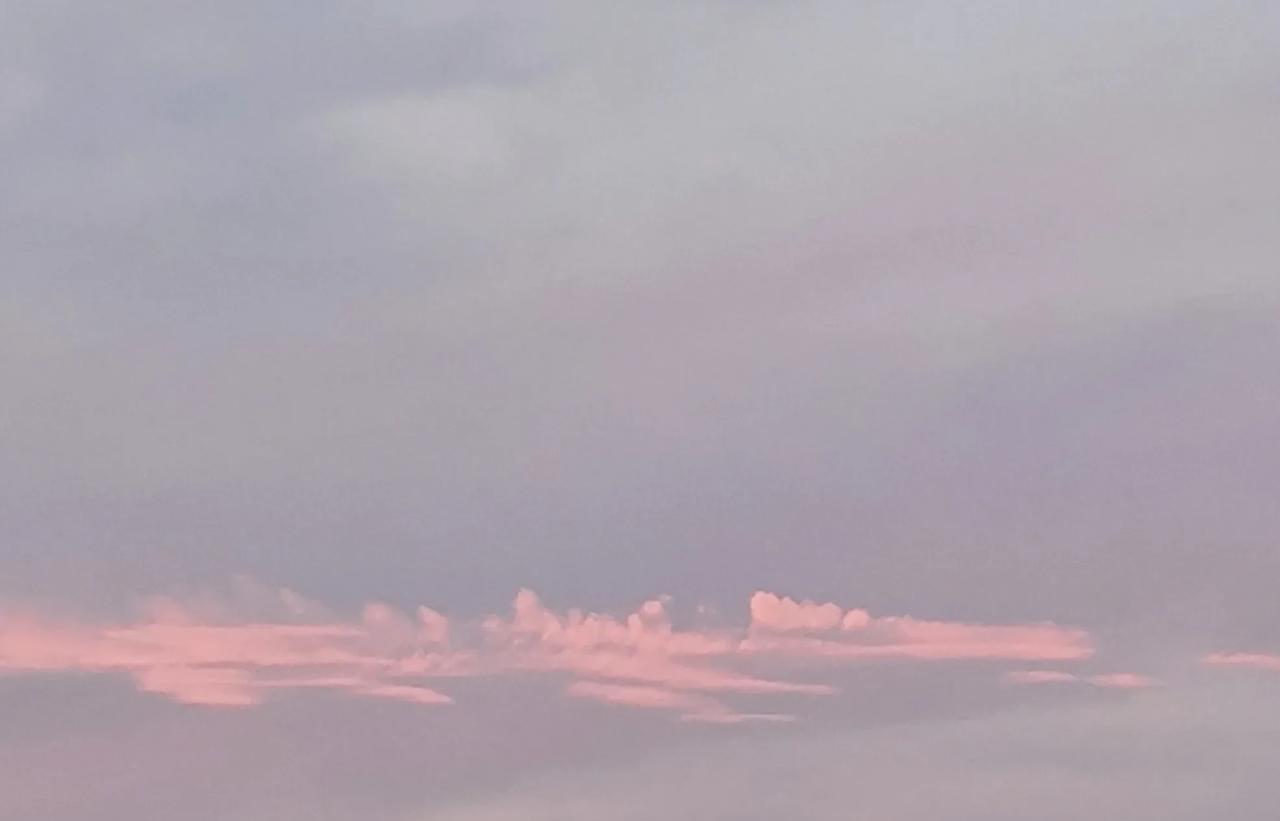 早晨，在刷刷刷的雨声中醒来。静静地听雨，天地间是那么的安静，仿佛只有我和雨。下