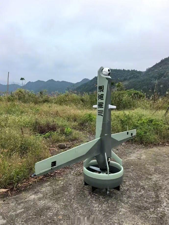 没想到是地方先用上了