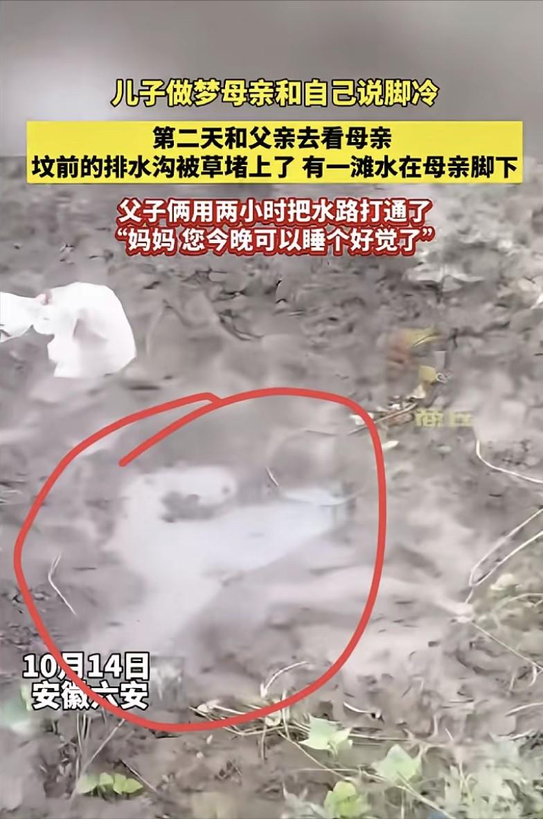 “这下真的解释不清了！”安徽六安。儿子夜里做了个梦，梦里妈妈对他说了句：脚冷。就