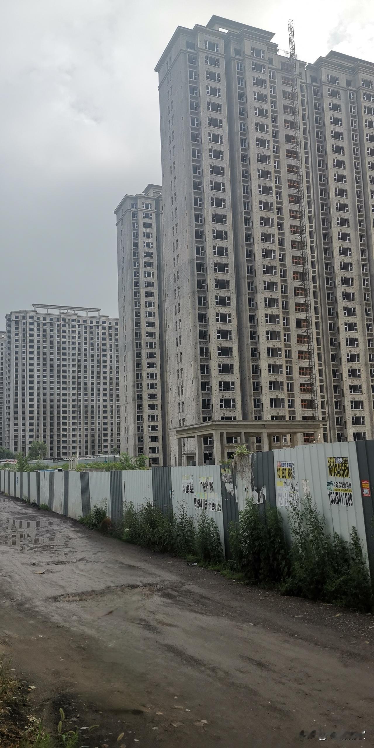 房价的2个先导信号：1.一线租金明显回升：2.二手房成交量开始上升。最近楼