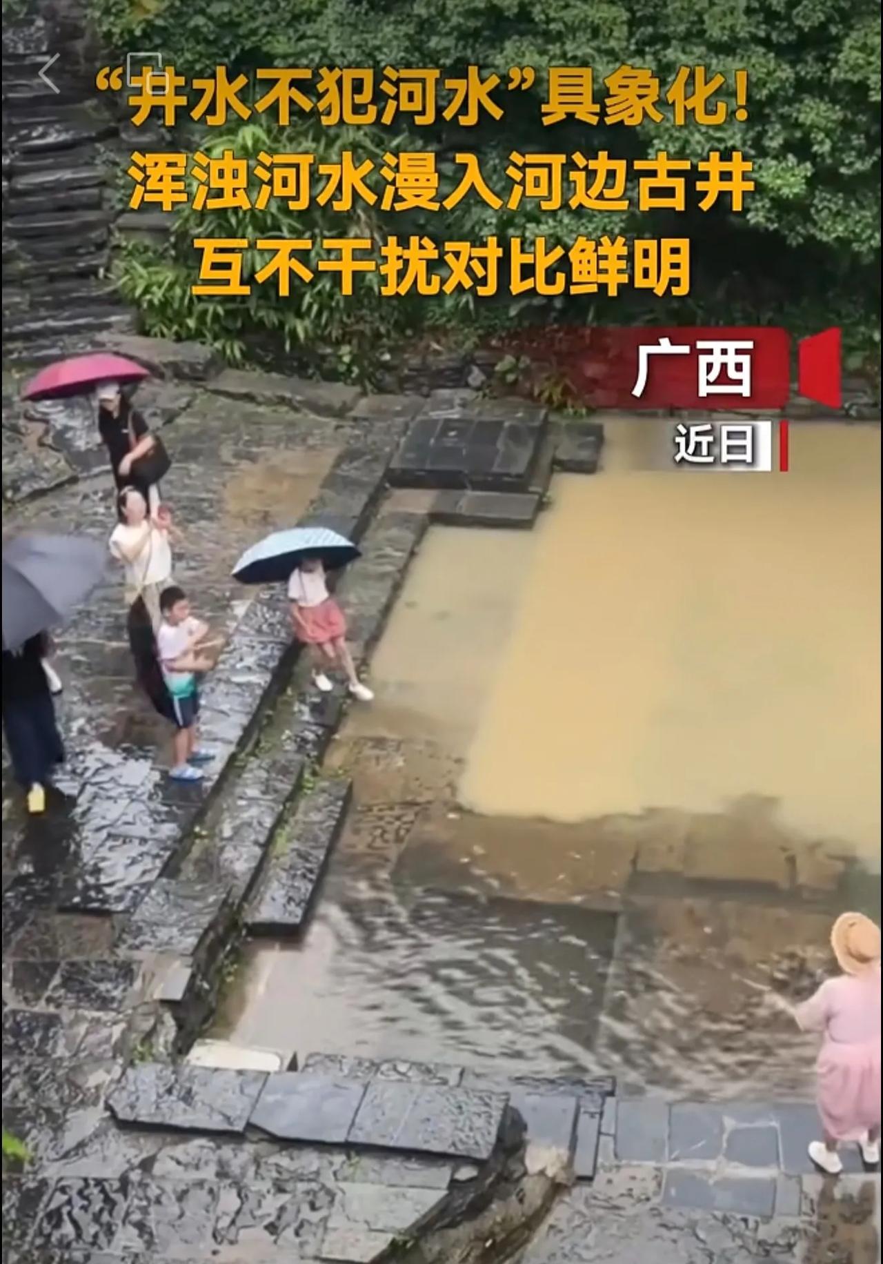 “井水不犯河水”具象化！浑浊河水漫入河边古井对比鲜明。