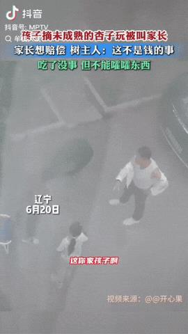 近日，辽宁两个孩子把树上还没成熟的杏子摘下来玩耍，被主人发现后叫来了家长，家长以