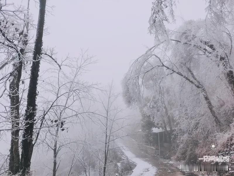湖南这天气变得比变脸还快，突然就要下雪了！据气象台消息，12月2-3日有降温