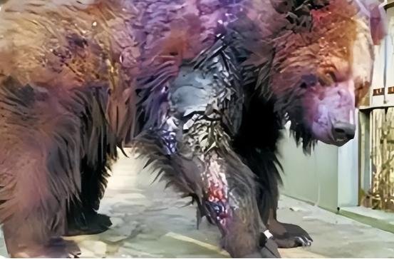 20多年前，22岁清华学生刘海洋，在北京动物园先后用浓硫酸泼伤五只熊，不仅没被制