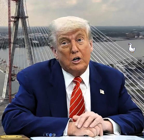 刚刚刷到特朗普的新闻，差点把刚喝进去的茶喷出来。这世界真的比小说还魔幻。