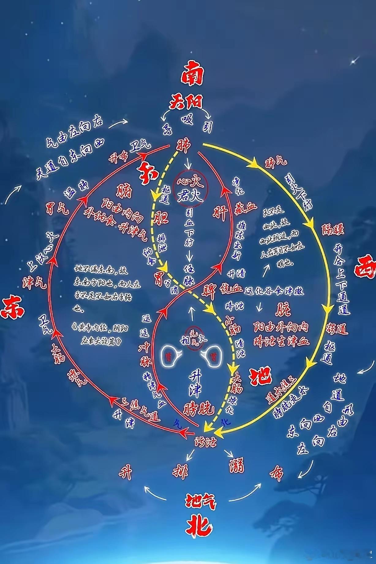湿困一久，用苍术厚朴无效，必用生姜紫苏打开毛孔，立竿见影。为什么？因为《黄帝内经
