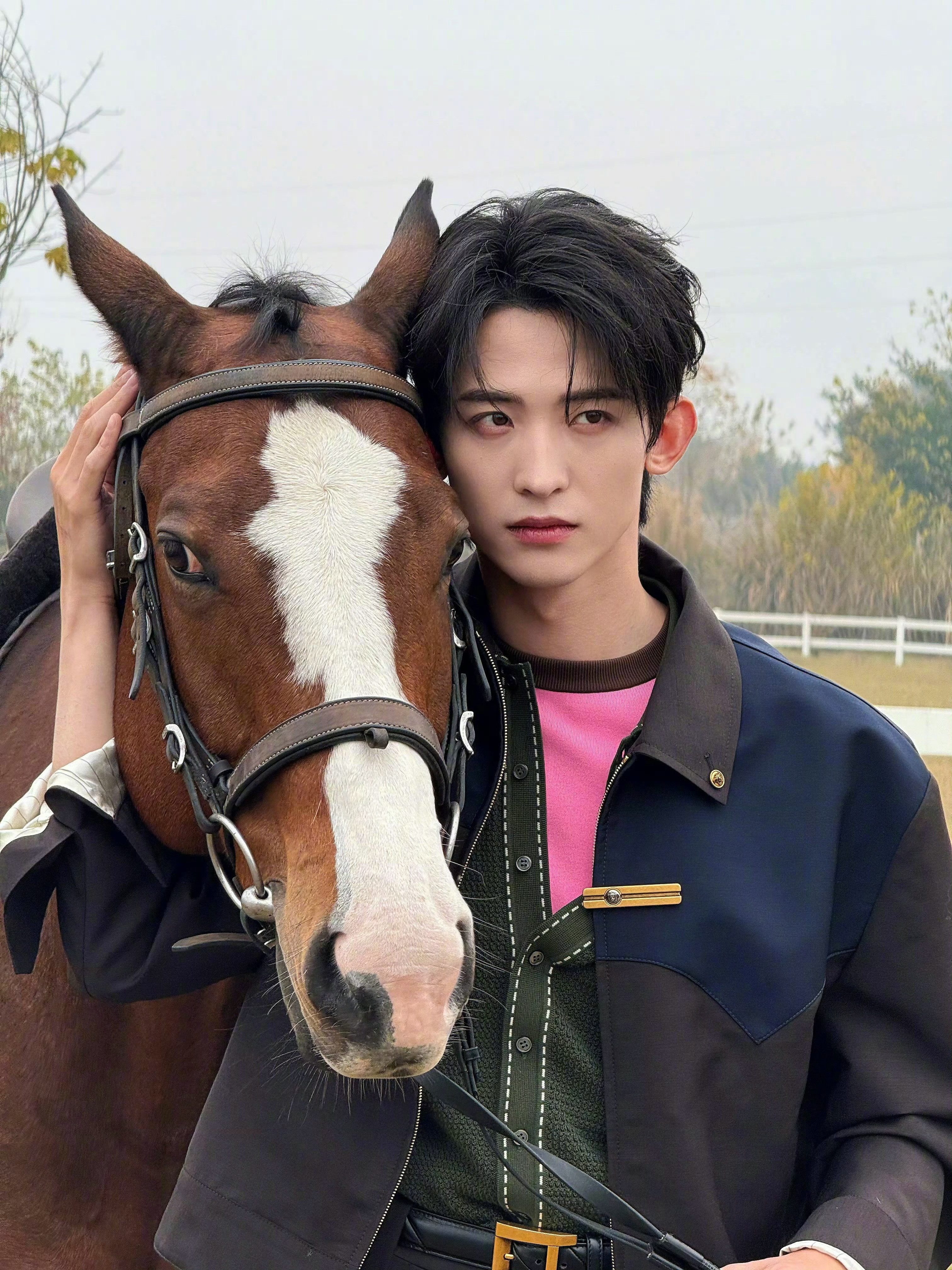 哈哈哈哈哈哈哈哈哈又幽默了常华森…马：走你🐎