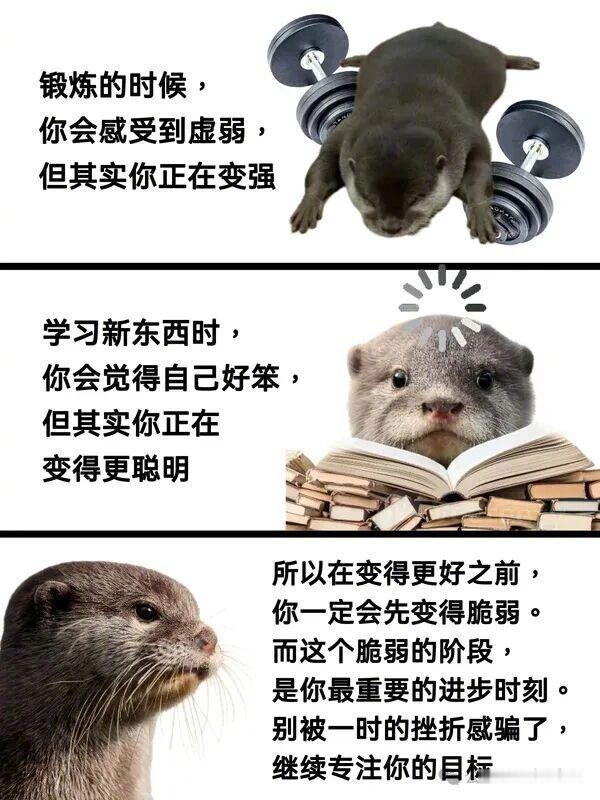 所以你越强你越弱，你越聪明你越笨。