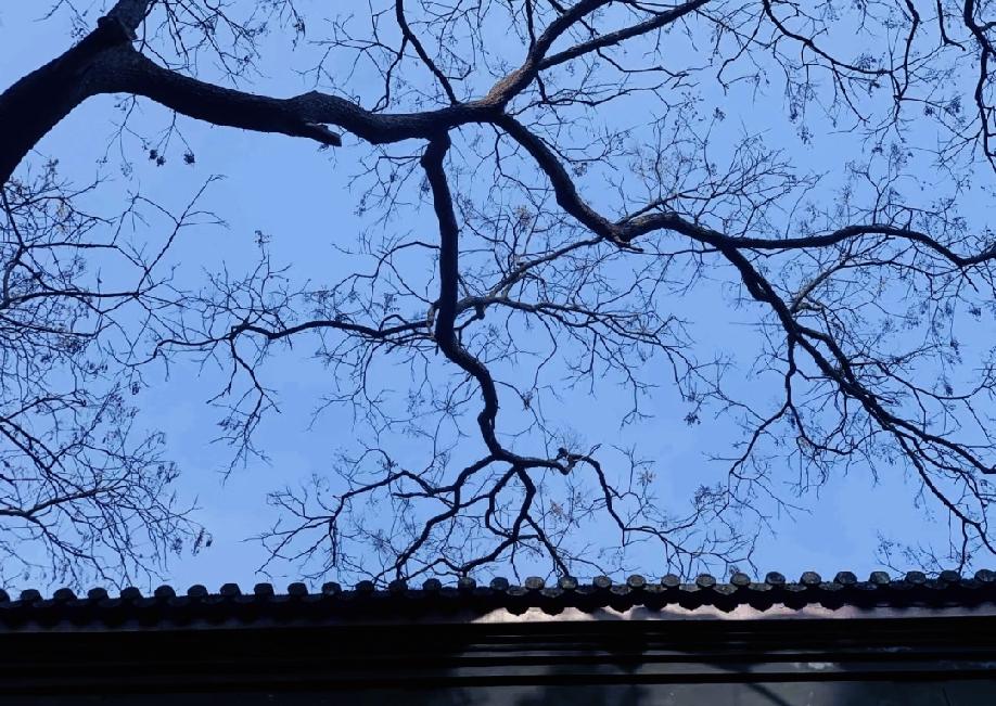 非常通透的一段话：“如果你想让一个异性喜欢你，最好的方式就是保持神秘和冷静，