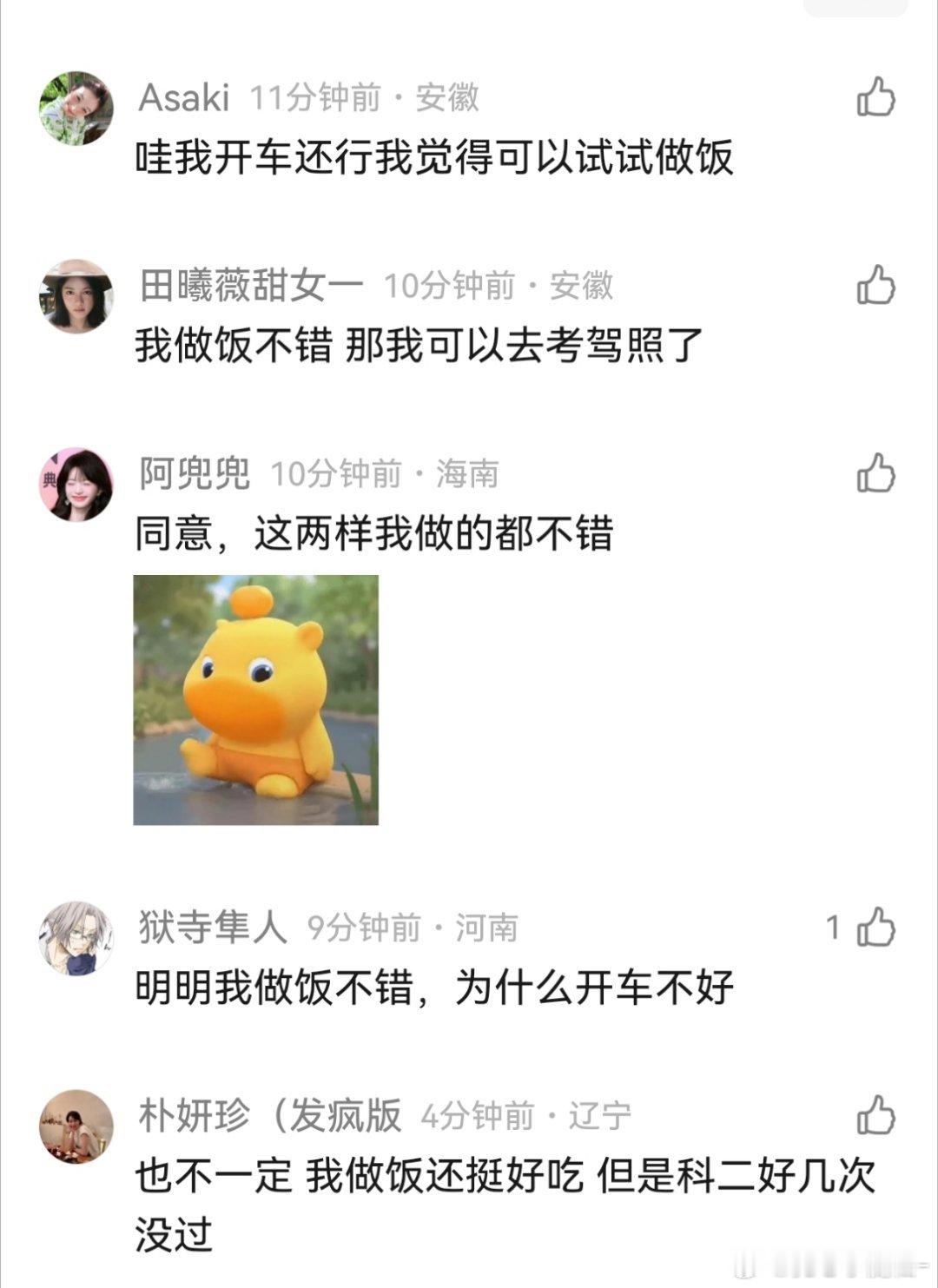 开车做饭是大脑同一片区域负责，做不好饭的也开不好车，真的假的？