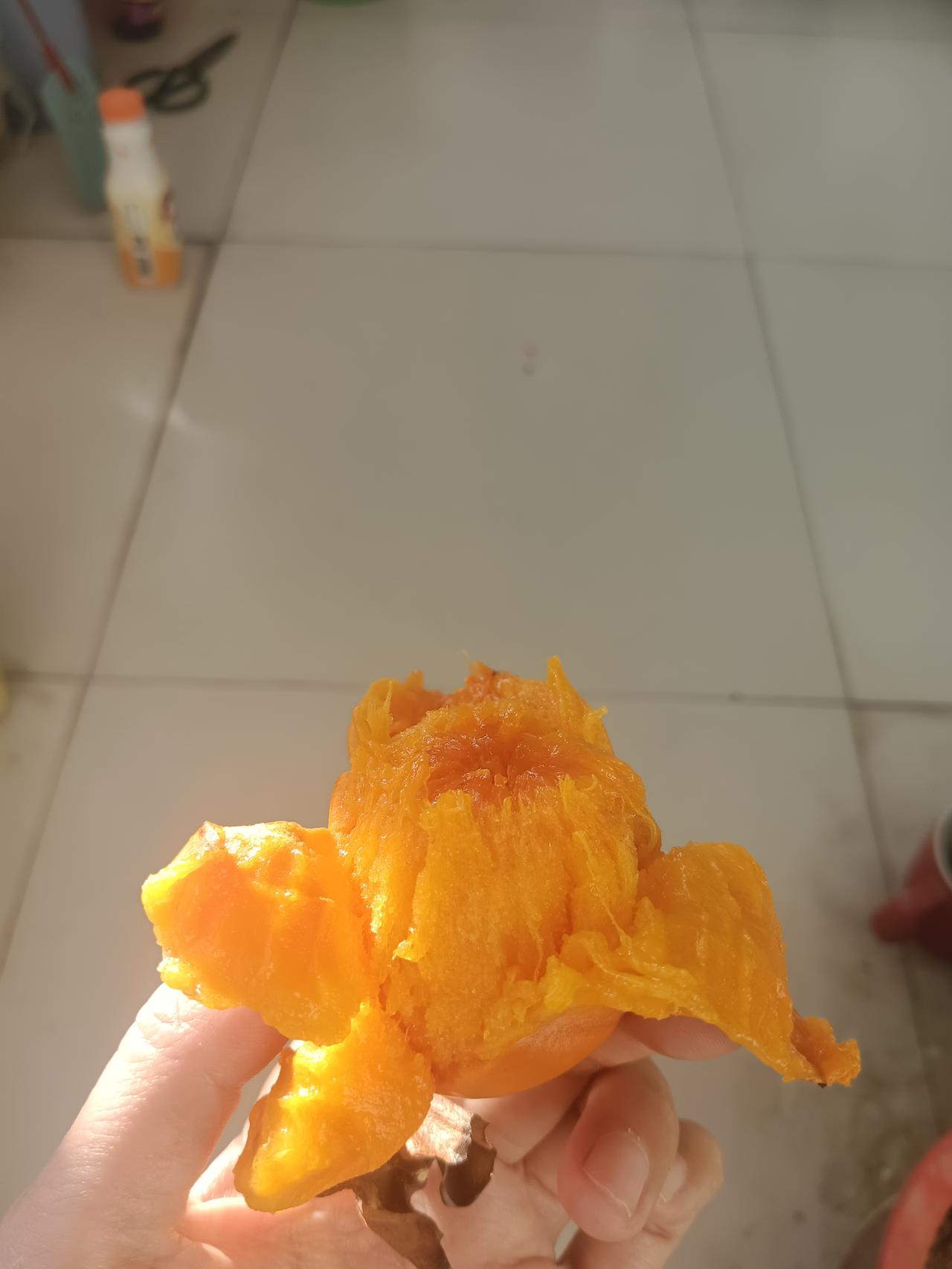 都说柿柿如意，而我的如意又在哪里呢？还会有吗？柿子很甜，也像是一个个红色的希望，