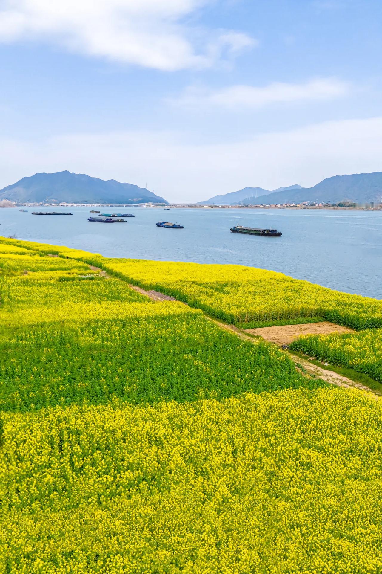 人和人是不同的。我朋友家的孩子，小男孩儿，高二的这次期末数学考试考了149，从
