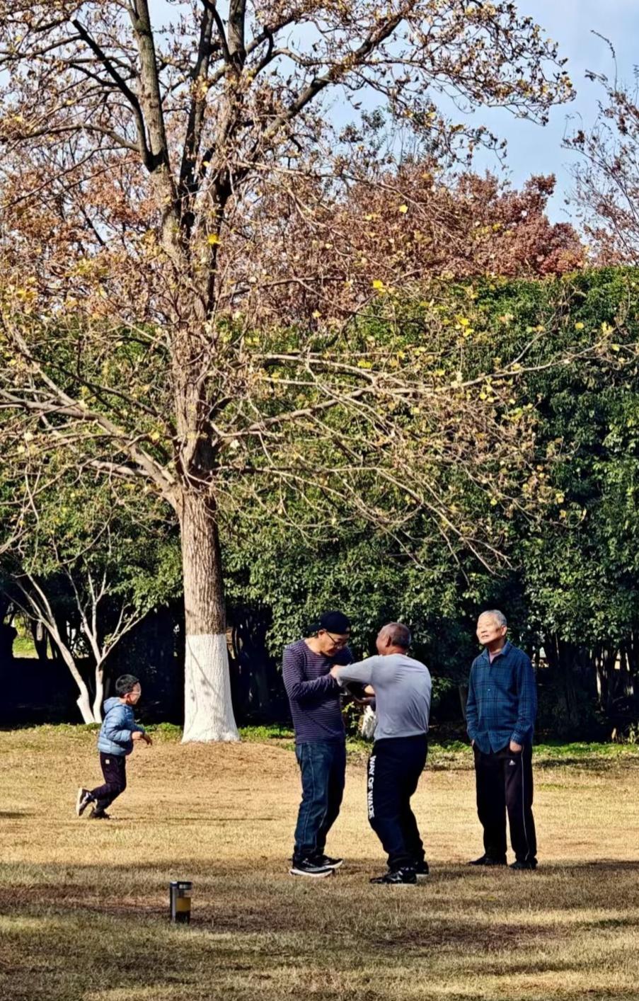 秋阳把杉叶焙成暖金，树影在小径上织出细碎的光。孩童的脚步轻踩着季节的软，连风裹着