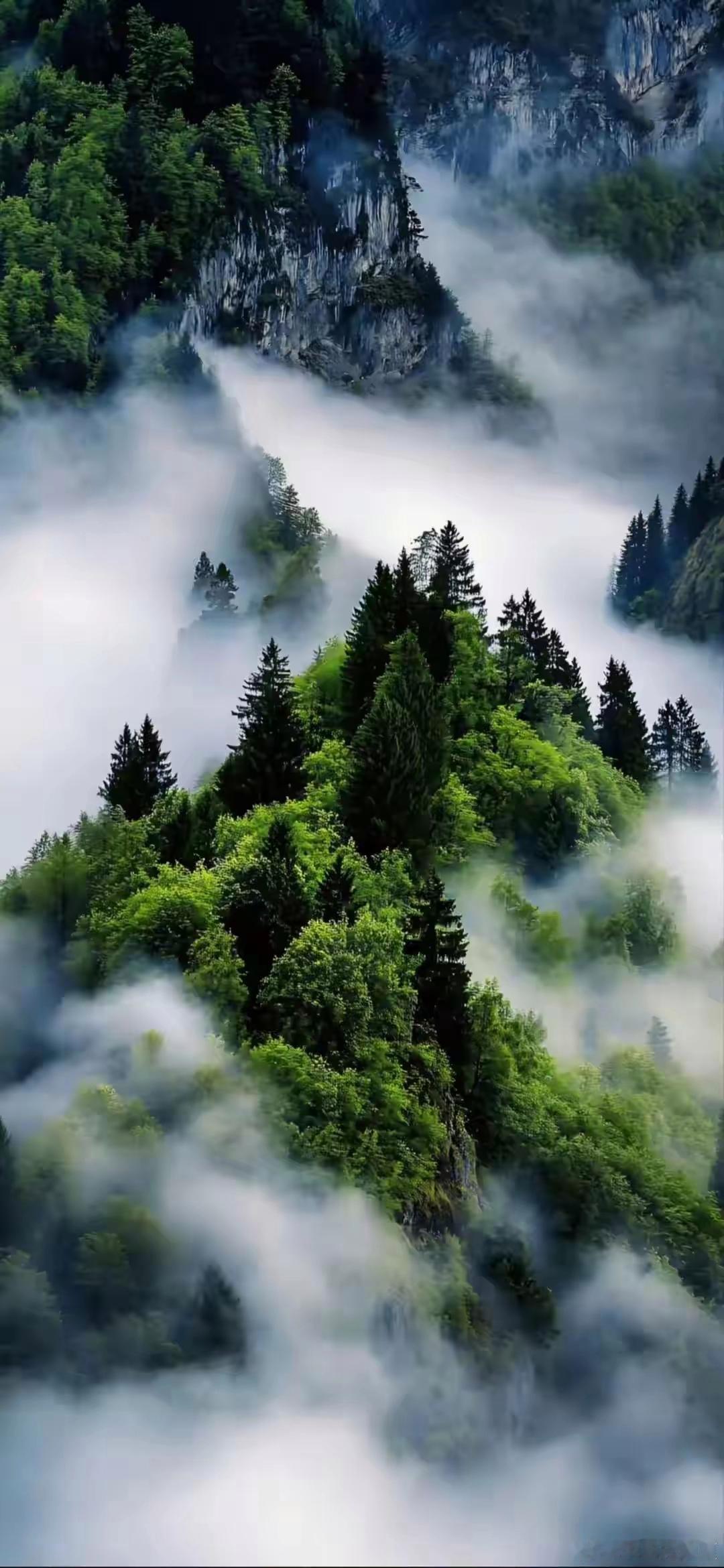 云漫青山，草甸辽阔，把自由藏进高原风光里～
