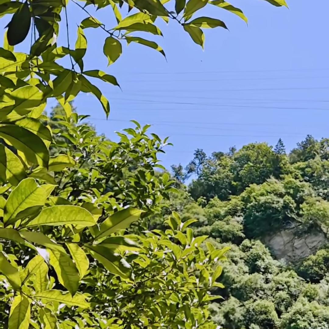 人到中年，为什么不要卡点上下班？我在快递站上班一年多了，每天晚上8:00下班，昨
