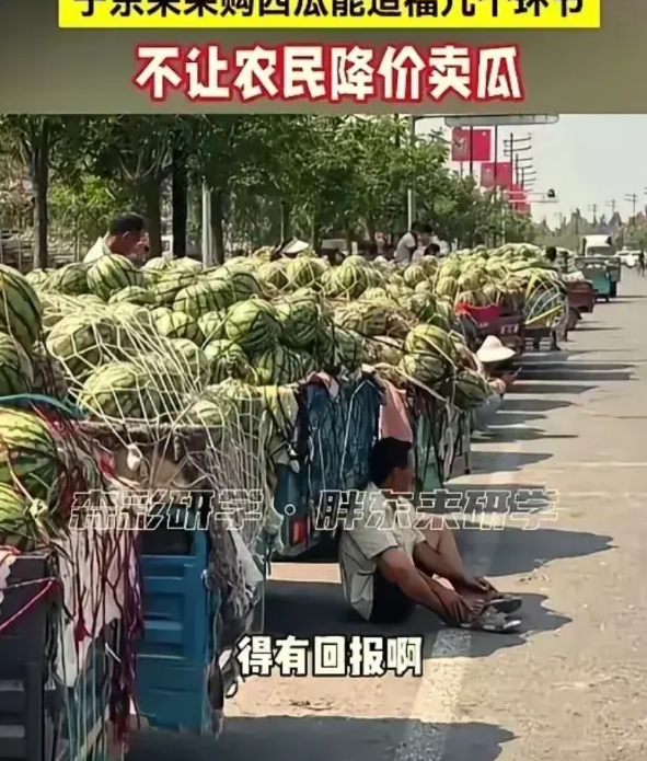 拒压价！于东来护农，于东来采购西瓜，发现瓜农的西瓜又好又甜，于是决定订购。两人