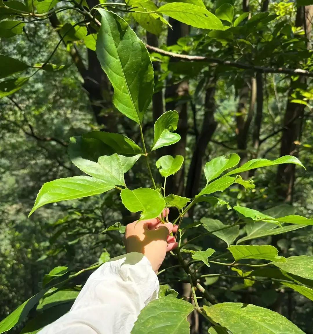 大学一开学，很多家长反而更睡不着。你以为是喜事？其实，很多人是在硬扛焦虑。