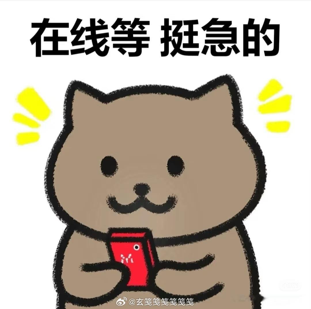 明天石夫人要去做肠胃镜，作为一个陪诊人，有什么需要注意的事项吗？​​