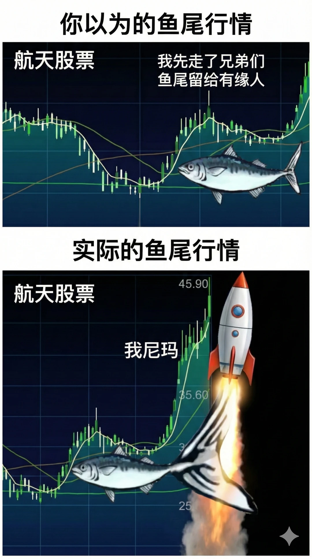 你以为的鱼尾行情，实际的鱼尾行情