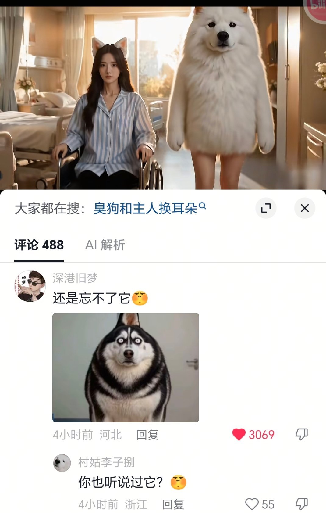 你也听过它的故事