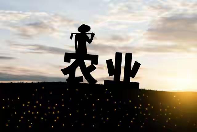 交了一辈子公粮，农民领养老金凭什么被指手画脚？五个硬道理说透农民该不该领养老