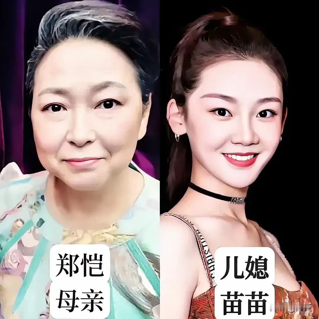 影视圈的婆媳关系