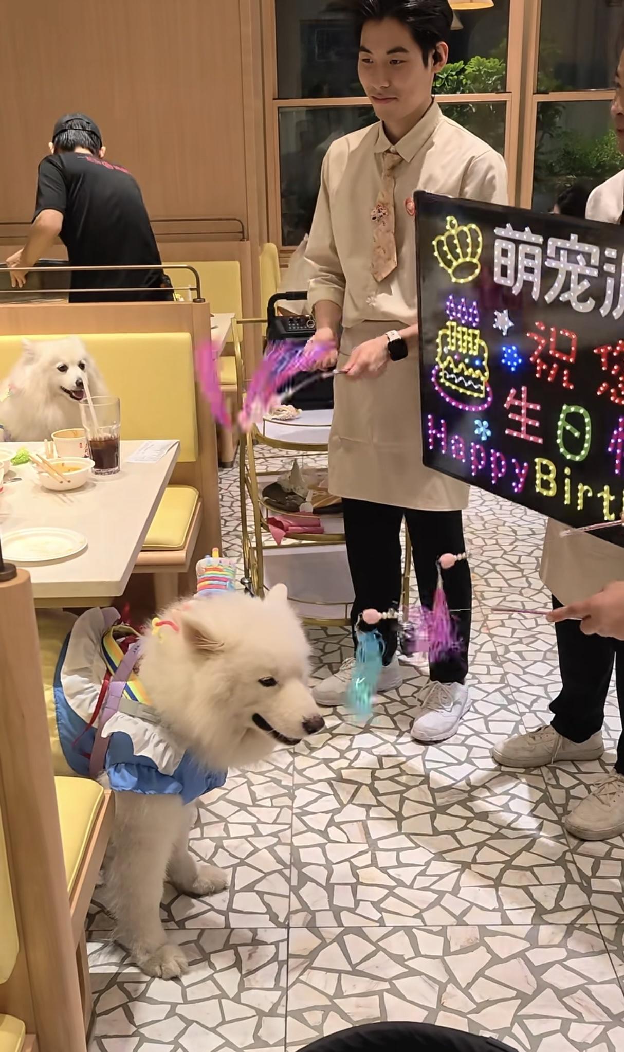 海底捞开宠物餐厅让狗有上桌权可以理解，让员工给狗表演抻面也可以理解，唯独让服务员