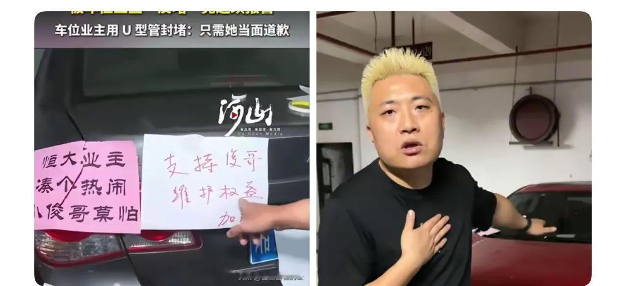 占车位的女子，这下傻眼了吧。女子占了别人的车位，其他业主都贴条支持车位的主人