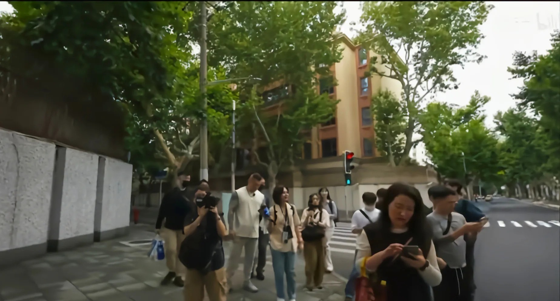 台湾网红馆长逛上海衡山路夸上海绿化好，街道的树漂亮，惹怒台湾民进党团干事长吴思瑶