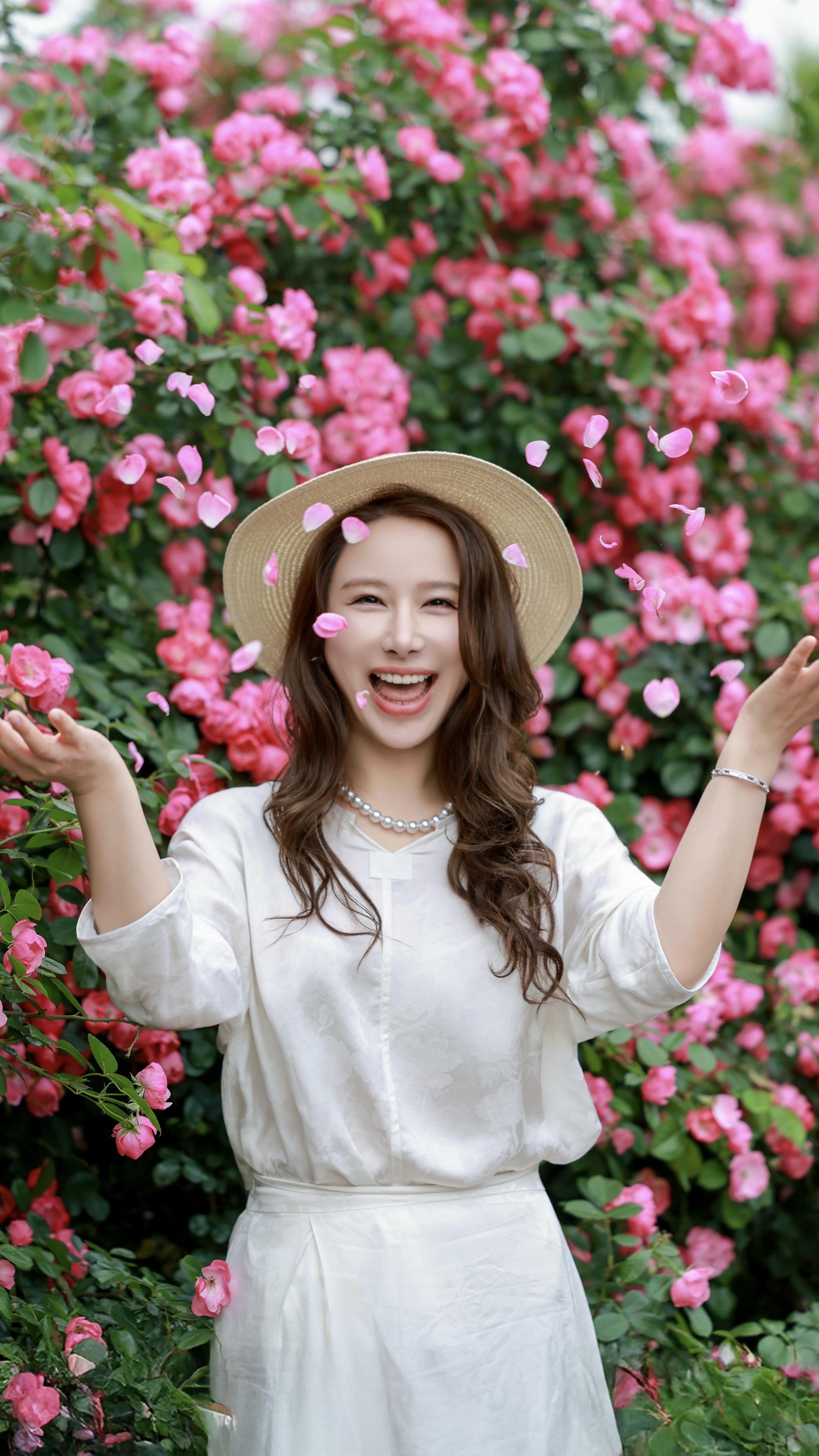 蔷薇花。