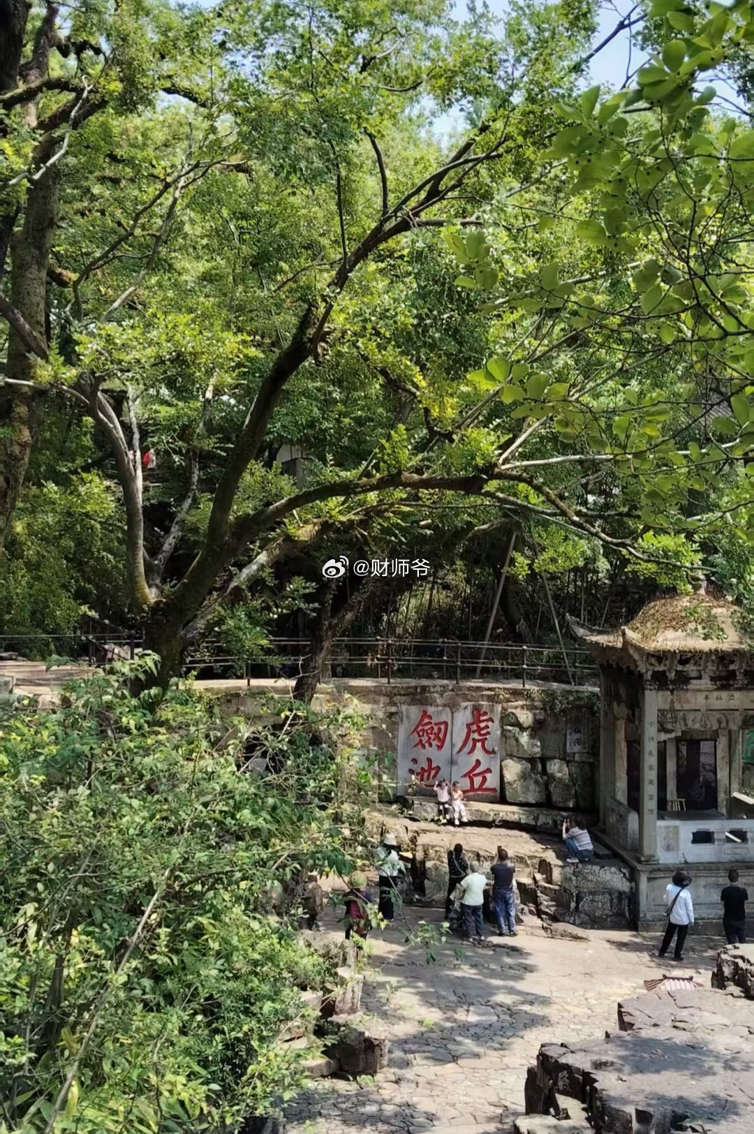 【冷知识】苏州著名的景点【虎丘】，其实是吴王阖闾墓的封土堆。虎丘之下就是吴王阖闾